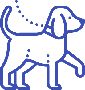 Especialização Profunda